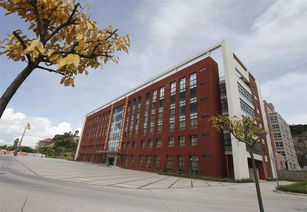 珠海金灣5所本科高校投檔線公布，職業教育培訓助力學子成才